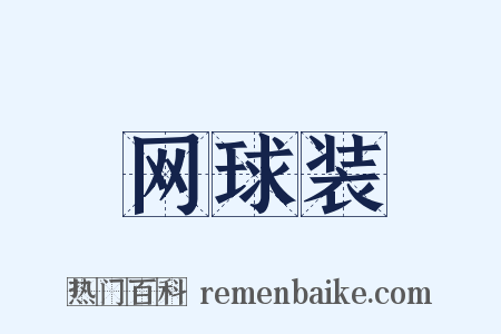 网球装是什么意思的图片